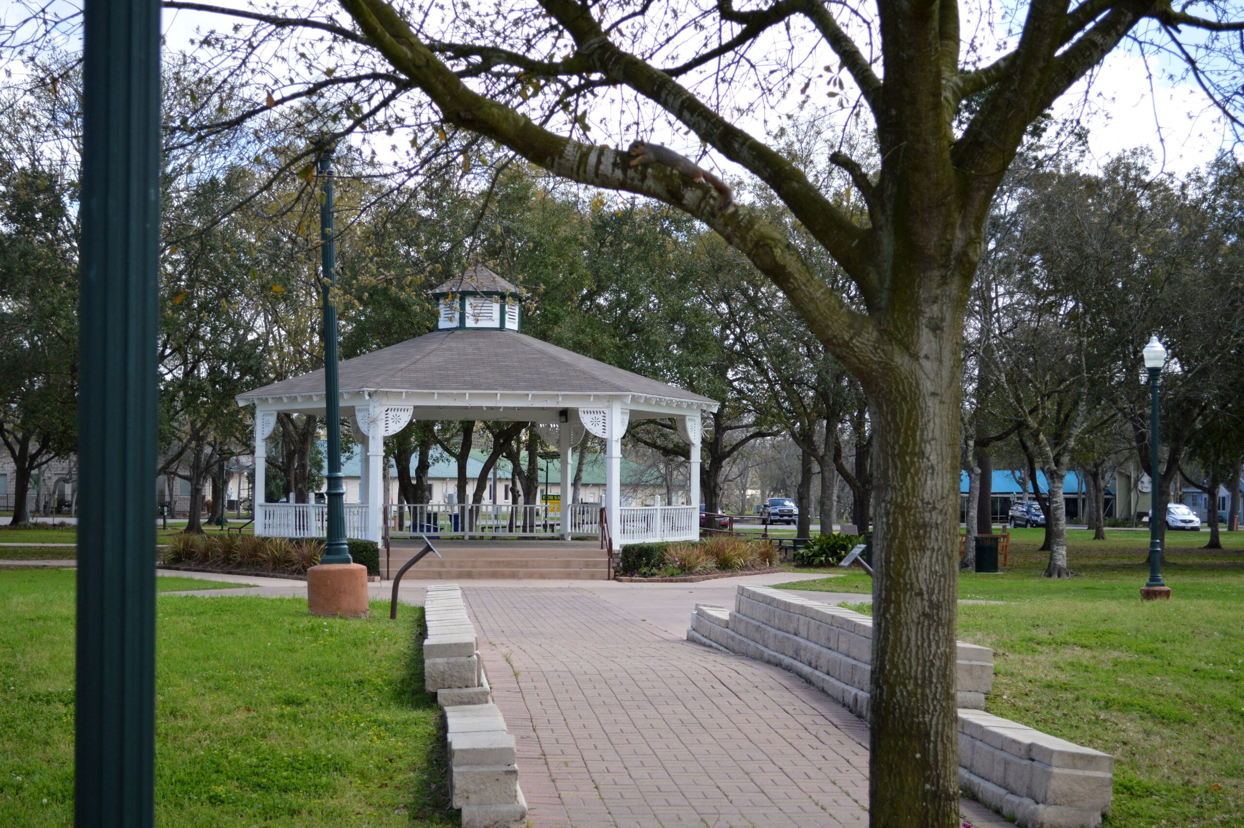 Stevenson Park Friendswood TX